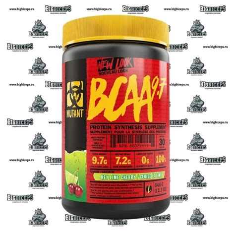 BIG.BICEPS Спорт-пит | Одежда | Экипировка | BIG.BICEPS - Единственный ...