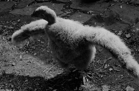 Sophie Ristelhueber What The Fuck Galerie Poggi