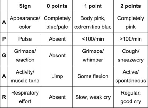 Cumulative Review Questions Flashcards Quizlet