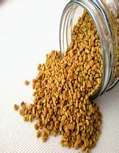 Raw Fenugreek Seed Color Natural Green At Best Price In Neemuch