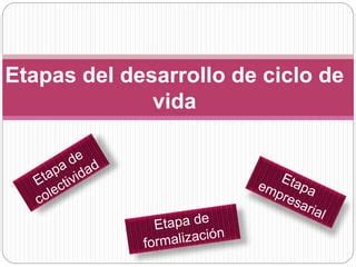 Ciclo De Vida Organizacional Ppt