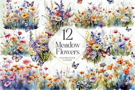 Watercolor Meadow Flowers Sublimation Graphic By Janecreative