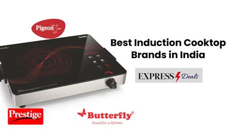 10 Best Induction Cooktop Brands in India 2024 - Top Picks