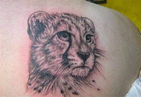 Great cheetah pictures - Tattooimages.biz