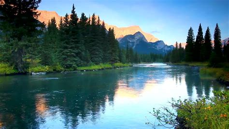 Calm Mountain River Flowing In Elk Valley K Relaxing River Sounds