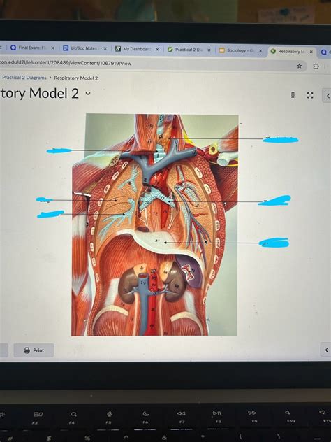 practical diagrams Diagram | Quizlet
