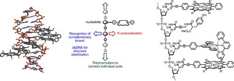 Concept Of Using Dna As A Supramolecular Scaffold To Create Functional