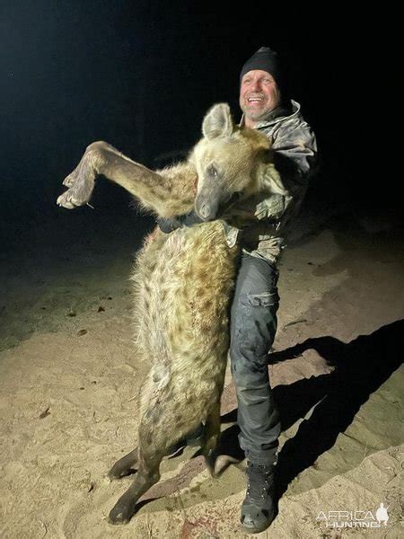 Hyena Hunting South Africa | AfricaHunting.com