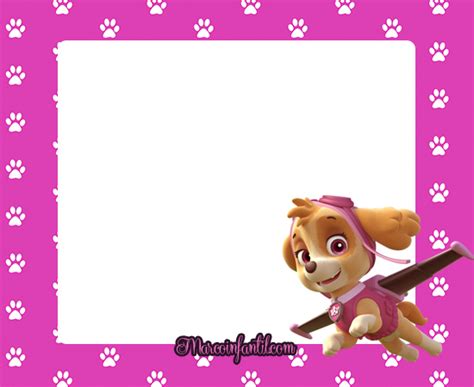 Skye Paw Patrol Marcos Para Fotos Patrulla Canina Skye Marcos De