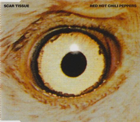 Red Hot Chili Peppers Scar Tissue Cd Single R Discogs