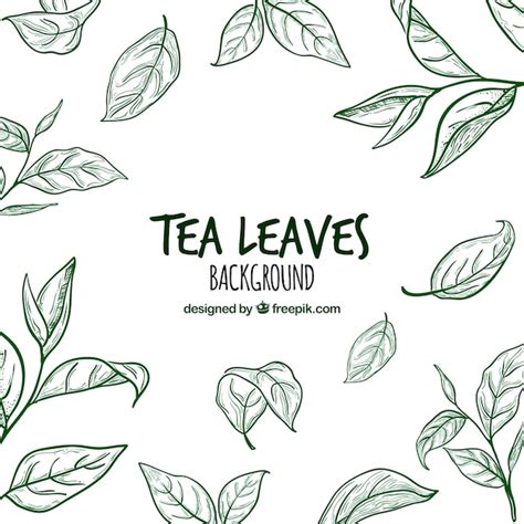 Hand Drawn Tea Leaves Background Free Vector