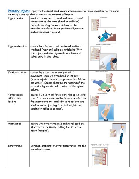 Spinal Cord Notes Neurogenic Shock Spinal Injury Autonomic