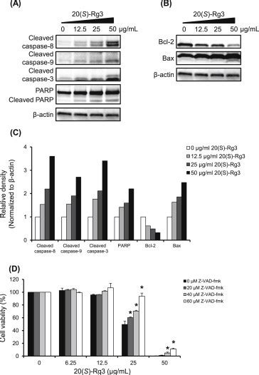 Effect Of Ginsenoside S Rg On Apoptosis In Ags Cells Western