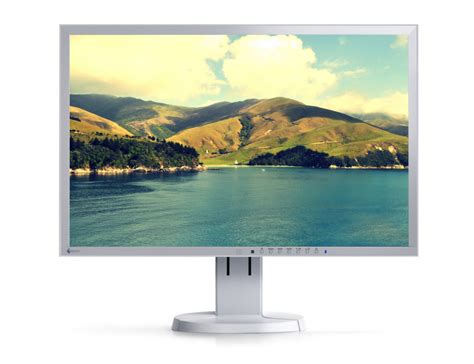 Eizo FlexScan EV2436WFS GY LED IPS 24 Zoll Full HD 1920x1200 Monitor TFT