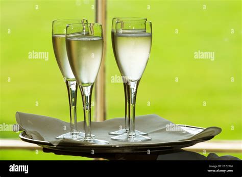 Champagne Flute Flutes Glass Of Glasses Bubbly Silver Service