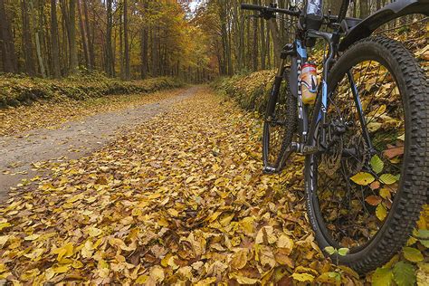 Po Lesie Na Pocz Tek Miesi Ca Nowe Wycieczki Rowerowe