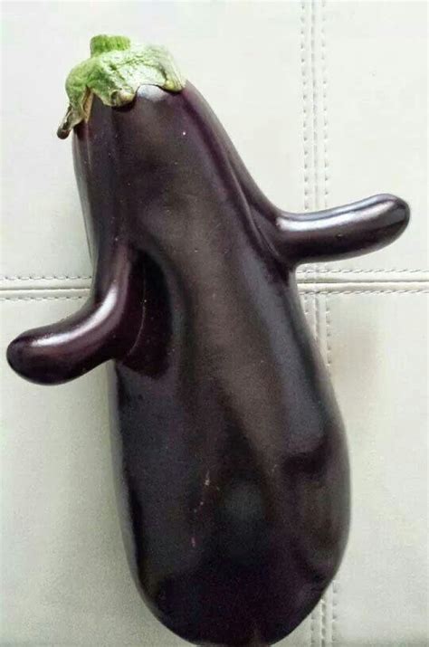 Hou Van Aubergine Funny Vegetables Funny Fruit Different Fruits And