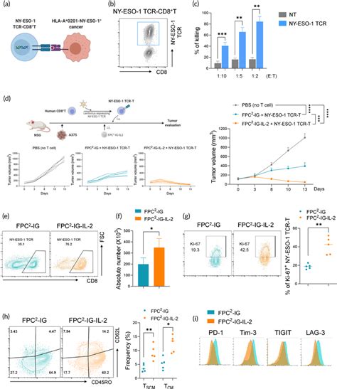 Enhancement Of Antitumor Efficacy Of Nyeso Tcrt By Intratumoral