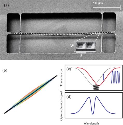 Figure From High Harmonic Optomechanical Oscillations In The Lithium