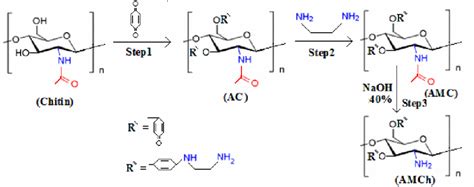 Schematic Diagram For Synthesis Of Aminated Chitosan Download Scientific Diagram