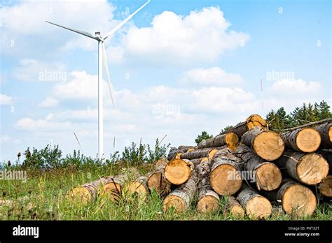 Wind Turbine Farm In Forest Stock Photo Alamy