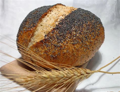 Батон с говном | Пикабу