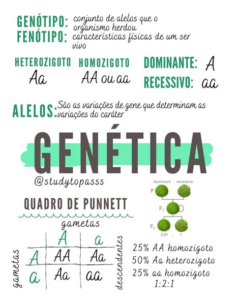 Conceitos B Sicos De Gen Tica Mapa Mental Braincp