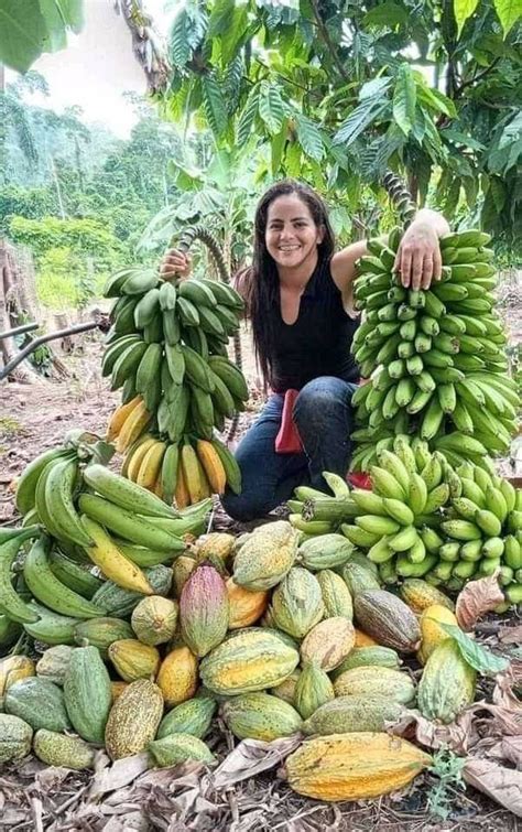 Pin De Pablo Figueroa En Aaaarte Frutas Y Verduras Fotos Cuidado