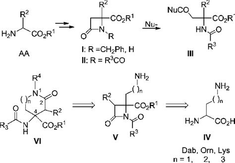 Intermolecular Nucleophile Opening Of β Lactams And Retrosynthetic Download Scientific Diagram