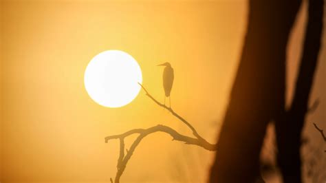 Deutscher Wetterdienst 2023 wärmstes Jahr seit Aufzeichnungsbeginn