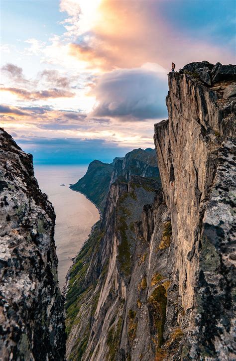 Man Standing On The Edge Of The Cliff On Senja Island Free Stock Photo