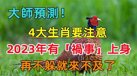 大師預測！「屬兔、屬虎、屬龍、屬雞人」2023年有「禍事」上身，意外之災，再不躲就來不及了！ Youtube