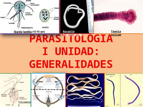 Pptx Parasitolog A I Unidad Dokumen Tips