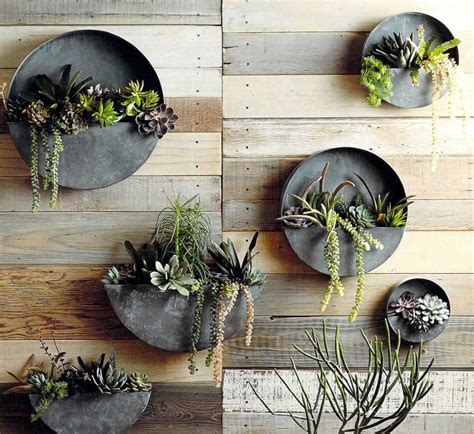 Best Wall Mounted Planters To Infuse Your Space With Greenery