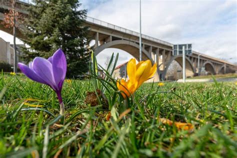 Auf der Suche nach dem Frühling SvenArt eu Fotograf aus dem Geiseltal