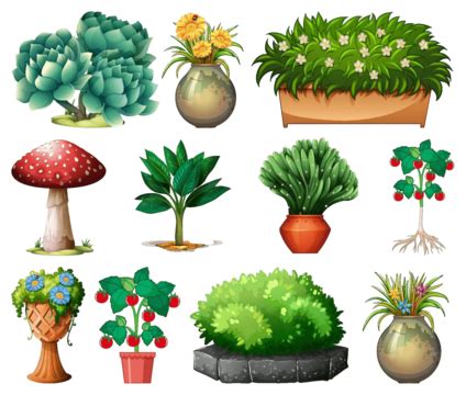 A Collection Of Diverse Potted Plants Standing Alone On A White