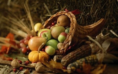 Simple Mabon Celebrations - Autumn Equinox 2021 ⋆ Witch Journal