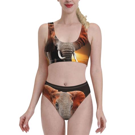 Haiem Elephant Sunset In Kenya Women S High Waisted Bikini Set Two