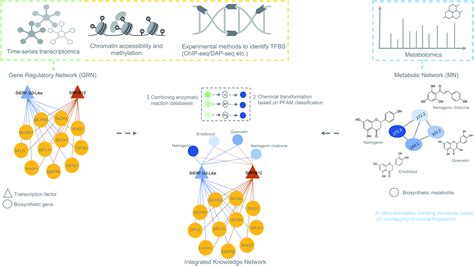 Integrative Omics Approaches For Biosynthetic Pathway Discovery In