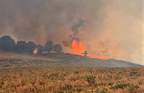 Le Maroc Touché Ces Derniers Jours Par De Nouveaux Feux De Forêt [vidéo