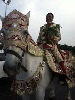 South Asian Indian Wedding Horses: Baraat Horse Cedar Gardens