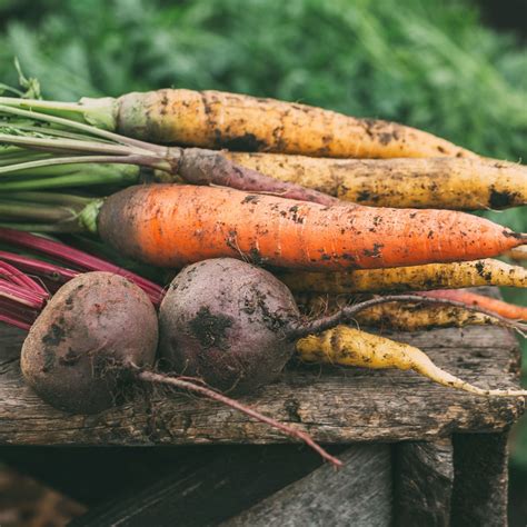 Root Veg – Organity