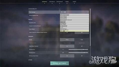 瓦罗兰特怎么调成中文 Valorant设置中文方法 游戏狗