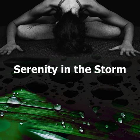 Serenity In The Storm Album By Rainfall Meditations Spotify