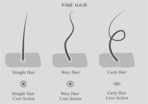 fine hair   style care  fine hair philip kingsley