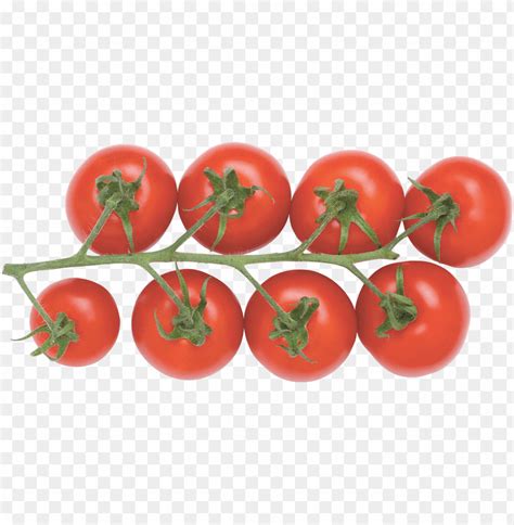 Free download HD PNG tomatoes tomatoes chrysal tomaten kräuter