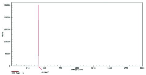 Gamma Spectrometry Using An Hpge Detector From The 198 Au