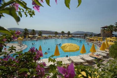 Voordelig Hotel Wow Bodrum Resort Boeken In Gumbet Turkije