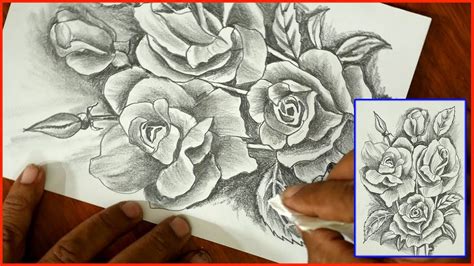 Rose Drawings In Pencil Step By Step