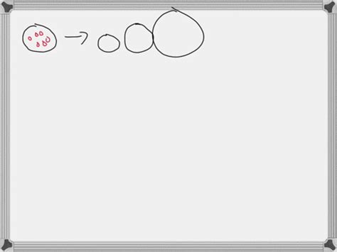 Solved Indicate Which Diagram Or Represents The Volume Of